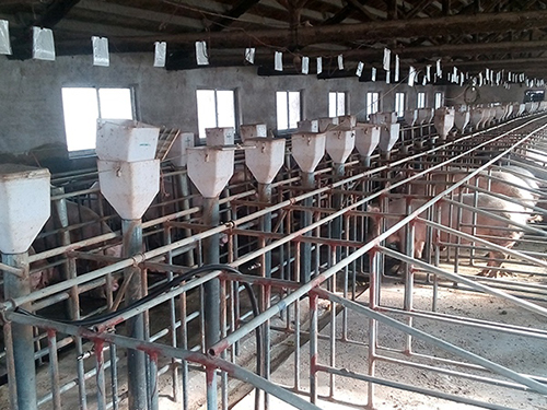 半自动定量杯料线